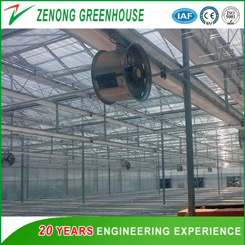 Hot Sale Circulating Fan for Ventilation of Greenhouse