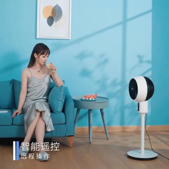 Air Circulation Fan Electric Fan