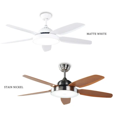 Home Appliance 52 Inch DC Motor Ceiling Fan Decorative Exhaust Fan with LED Light